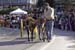 2012Carnivale-76